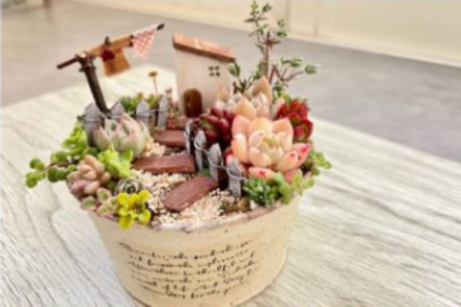 多肉植物教室