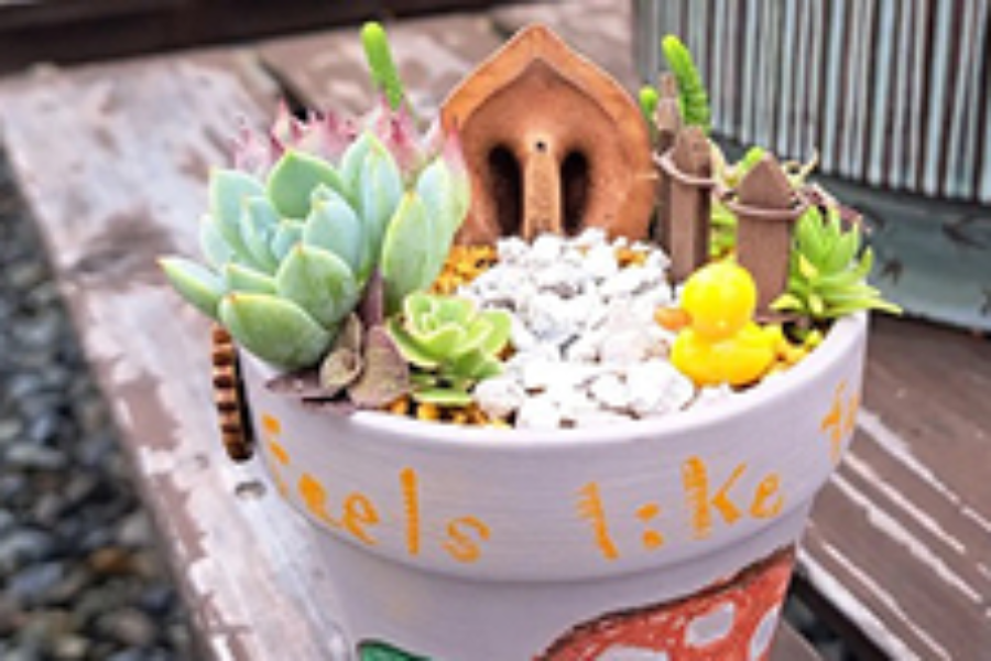 多肉植物寄せ植え教室